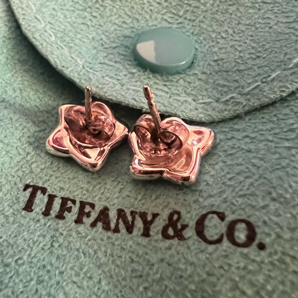 Tiffany & Co. Jewelry - Tiffany & Co. Sterling Silver Star Stud Earrings on Tiffany Blue Pouch